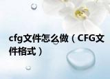 cfg文件怎么做（CFG文件格式）