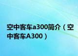 空中客车a300简介（空中客车A300）