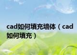 cad如何填充墙体（cad如何填充）