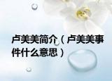 卢美美简介（卢美美事件什么意思）