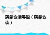 篪怎么读粤语（篪怎么读）