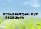 鳄梨和牛油果的区别介绍（鳄梨和牛油果的区别有哪些）