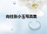 向往张小玉写真集