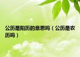 公历是阳历的意思吗（公历是农历吗）
