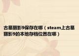 古墓丽影9保存在哪（steam上古墓丽影9的本地存档位置在哪）