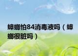蟑螂怕84消毒液吗（蟑螂很脏吗）