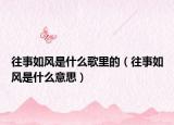往事如风是什么歌里的（往事如风是什么意思）