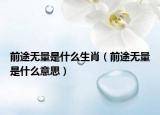 前途无量是什么生肖（前途无量是什么意思）
