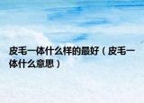 皮毛一体什么样的最好（皮毛一体什么意思）