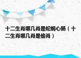 十二生肖哪几肖是蛇蝎心肠（十二生肖哪几肖是偷肖）