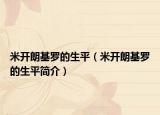 米开朗基罗的生平（米开朗基罗的生平简介）