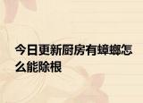 今日更新厨房有蟑螂怎么能除根