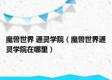 魔兽世界 通灵学院（魔兽世界通灵学院在哪里）
