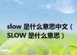 slow 是什么意思中文（SLOW 是什么意思）