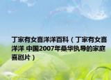 丁家有女喜洋洋百科（丁家有女喜洋洋 中国2007年桑华执导的家庭喜剧片）
