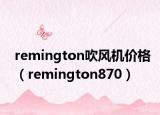 remington吹风机价格（remington870）
