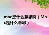 mac是什么意思啊（Mac是什么意思）