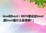 bios和boot（BIOS里设定boot,那boot是什么意思啊?）