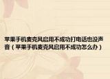 苹果手机麦克风启用不成功打电话也没声音（苹果手机麦克风启用不成功怎么办）