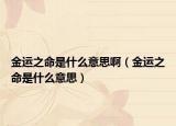 金运之命是什么意思啊（金运之命是什么意思）