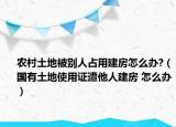 农村土地被别人占用建房怎么办?（国有土地使用证遭他人建房 怎么办）