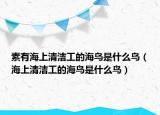 素有海上清洁工的海鸟是什么鸟（海上清洁工的海鸟是什么鸟）