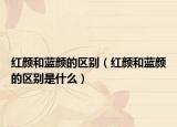 红颜和蓝颜的区别（红颜和蓝颜的区别是什么）