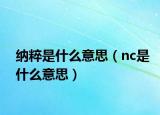 纳粹是什么意思（nc是什么意思）