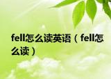 fell怎么读英语（fell怎么读）
