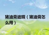 猪油膏遮瑕（猪油膏怎么用）