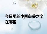今日更新中国菠萝之乡在哪里