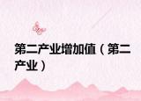 第二产业增加值（第二产业）