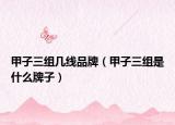 甲子三组几线品牌（甲子三组是什么牌子）
