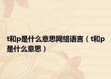 t和p是什么意思网络语言（t和p是什么意思）
