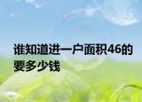 谁知道进一户面积46的要多少钱