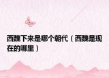 西魏下来是哪个朝代（西魏是现在的哪里）