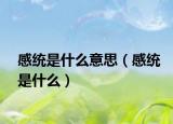 感统是什么意思（感统是什么）