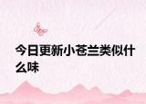 今日更新小苍兰类似什么味
