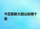 今日更新大别山在哪个省