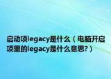 启动项legacy是什么（电脑开启项里的legacy是什么意思?）