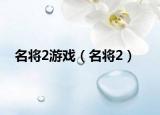 名将2游戏（名将2）
