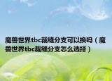 魔兽世界tbc裁缝分支可以换吗（魔兽世界tbc裁缝分支怎么选择）
