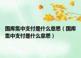 国库集中支付是什么意思（国库集中支付是什么意思）