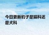 今日更新豹子是猫科还是犬科
