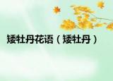 矮牡丹花语（矮牡丹）