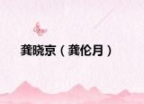 龚晓京（龚伦月）
