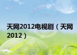 天网2012电视剧（天网2012）
