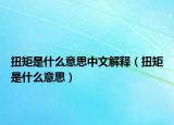 扭矩是什么意思中文解释（扭矩是什么意思）