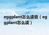 eggplant怎么读音（eggplant怎么读）