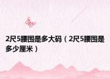 2尺5腰围是多大码（2尺5腰围是多少厘米）